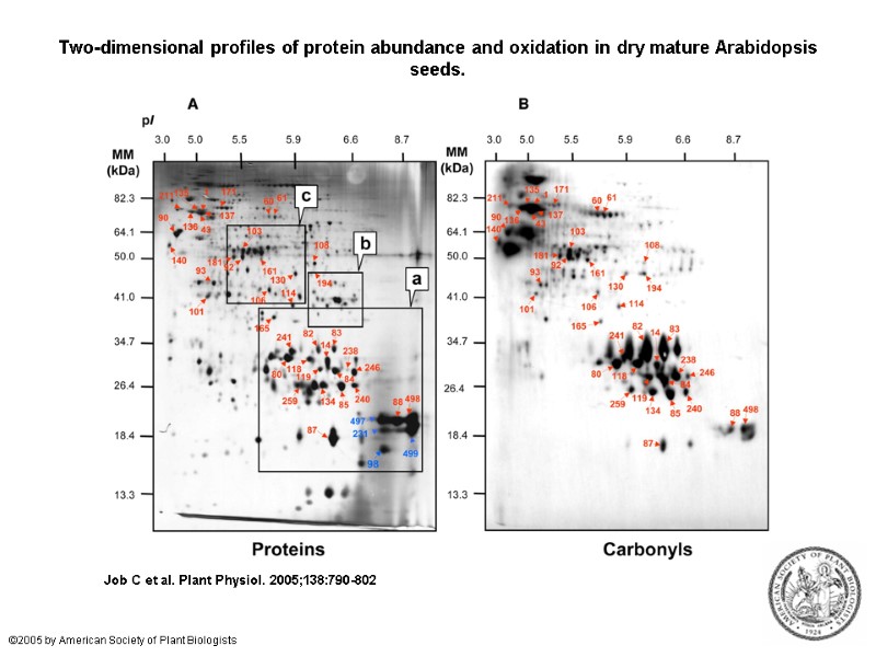 Two-dimensional profiles of protein abundance and oxidation in dry mature Arabidopsis seeds.  Job